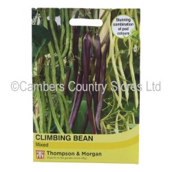 Thompson & Morgan Climbing Bean Mixed